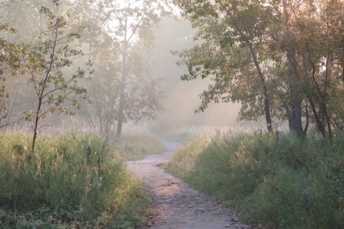 Early morning at Carburn Park