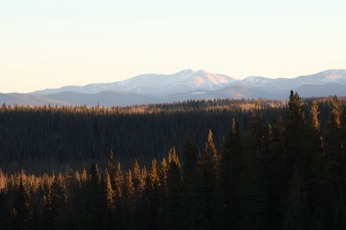 Endless Evergreen and Mountainscape