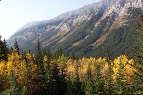 Fall in Kananaskis Country
