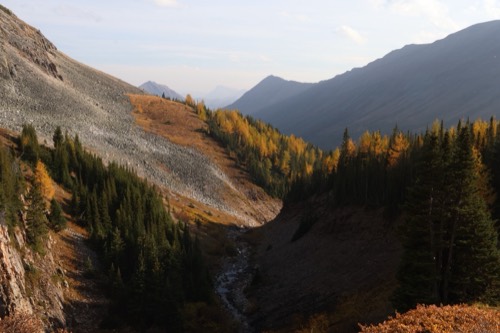 Fall Larch Mountainscape at Ptarmigan Cirque