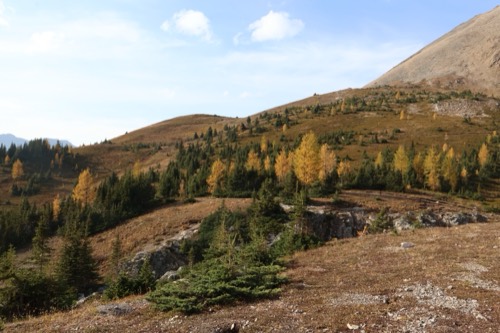 Ptarmigan Cirque in Fall