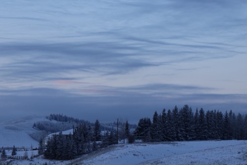 Snowy Winter Wonderland