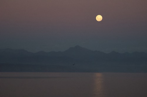 Sunset Moonrise